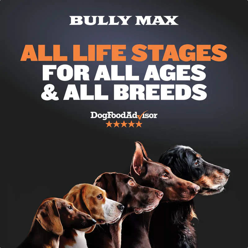 26/12 HIGH PROTEIN WET DOG FOOD