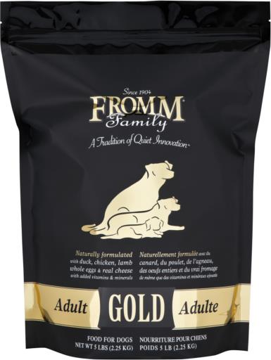 Gold Dog Adult