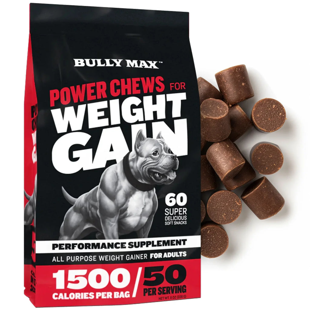 POWER CHEWS FOR WEIGHT GAIN