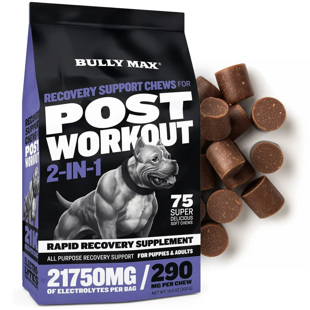 RECOVERY SUPPORT CHEWS FOR POST WORKOUT