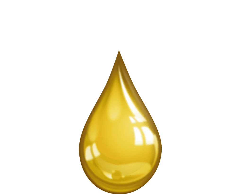 LIQUID WEIGHT LOSS SUPPLEMENT