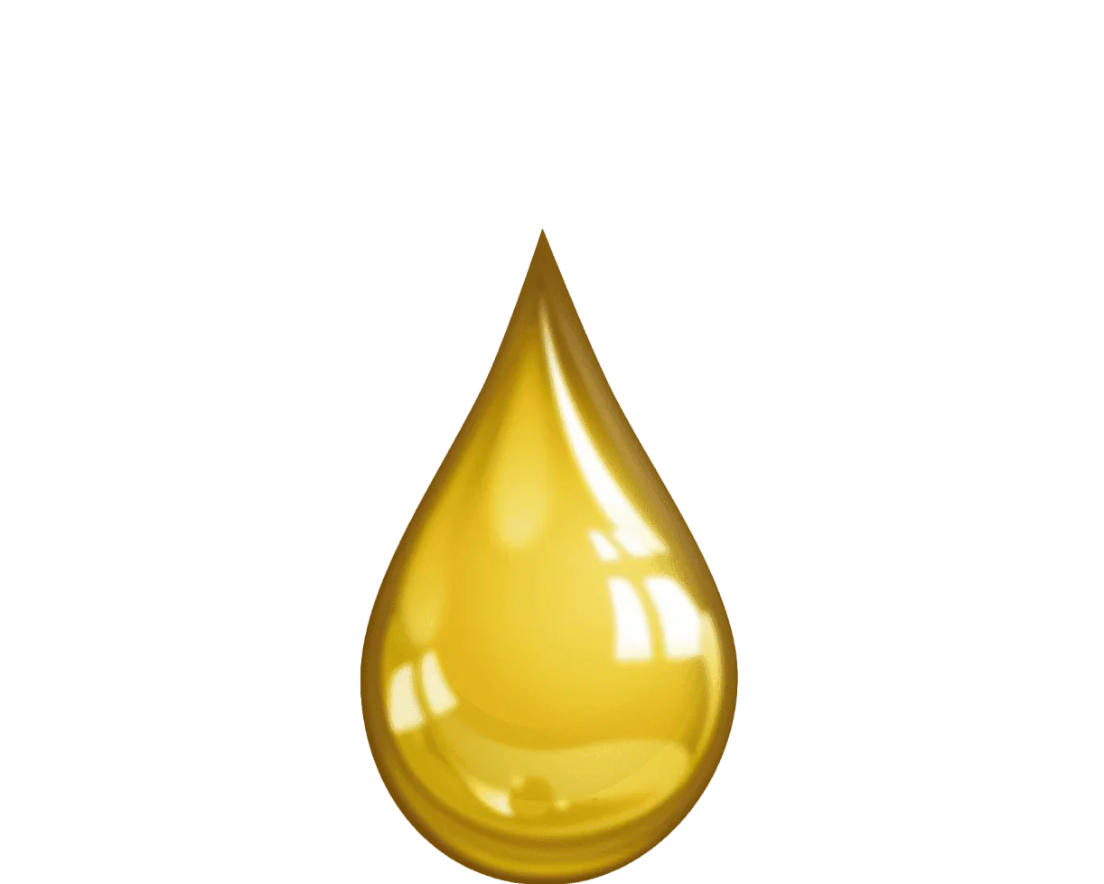 LIQUID WEIGHT LOSS SUPPLEMENT