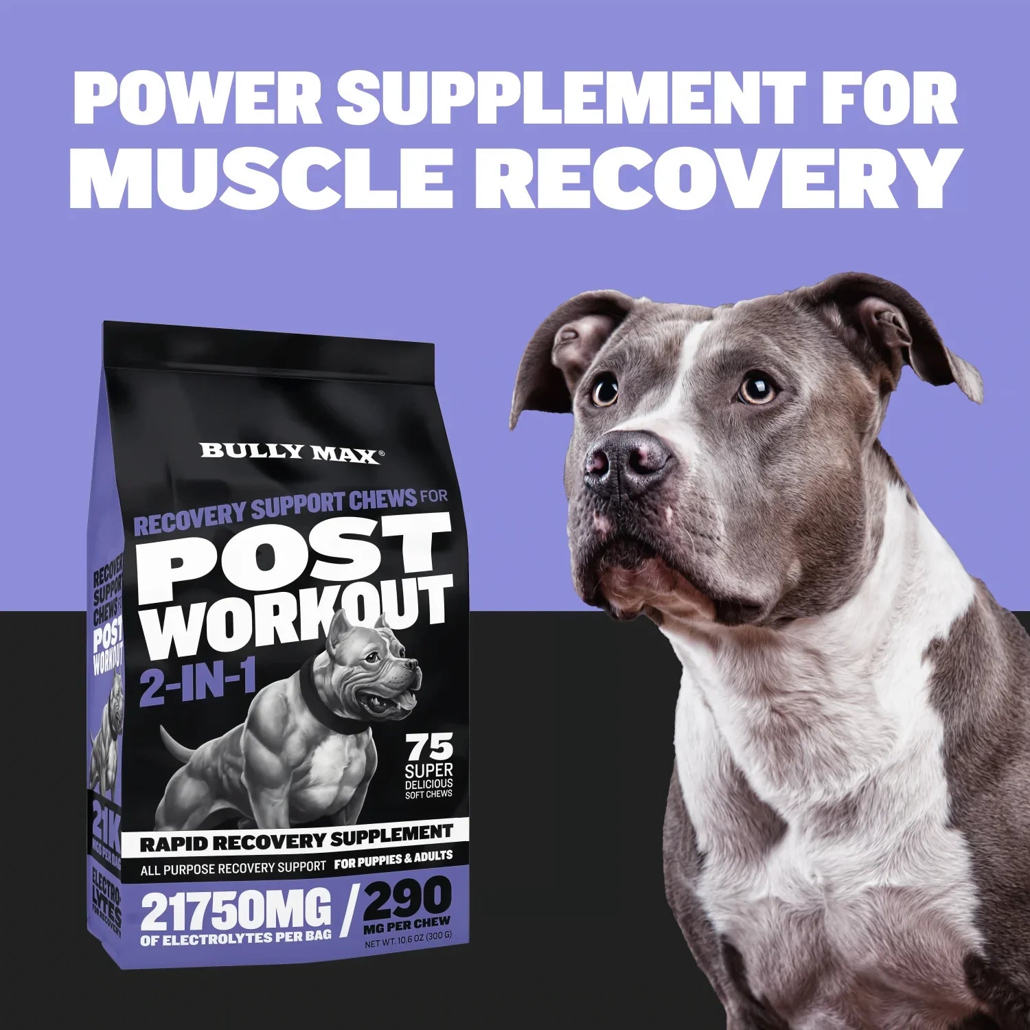 RECOVERY SUPPORT CHEWS FOR POST WORKOUT