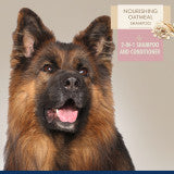 Nourishing Oatmeal 2 in 1 Dog Shampoo and Conditioner