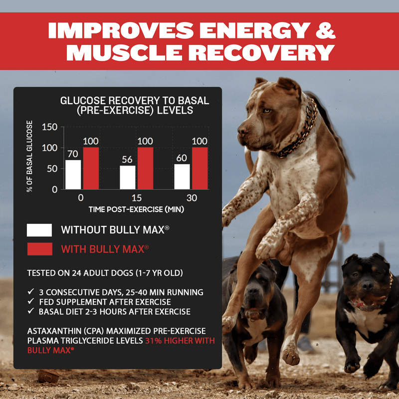 LIQUID MUSCLE GAIN SUPPLEMENT
