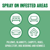 Natural Flea & Tick Home Spray