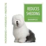 Reduces Shedding Shampoo