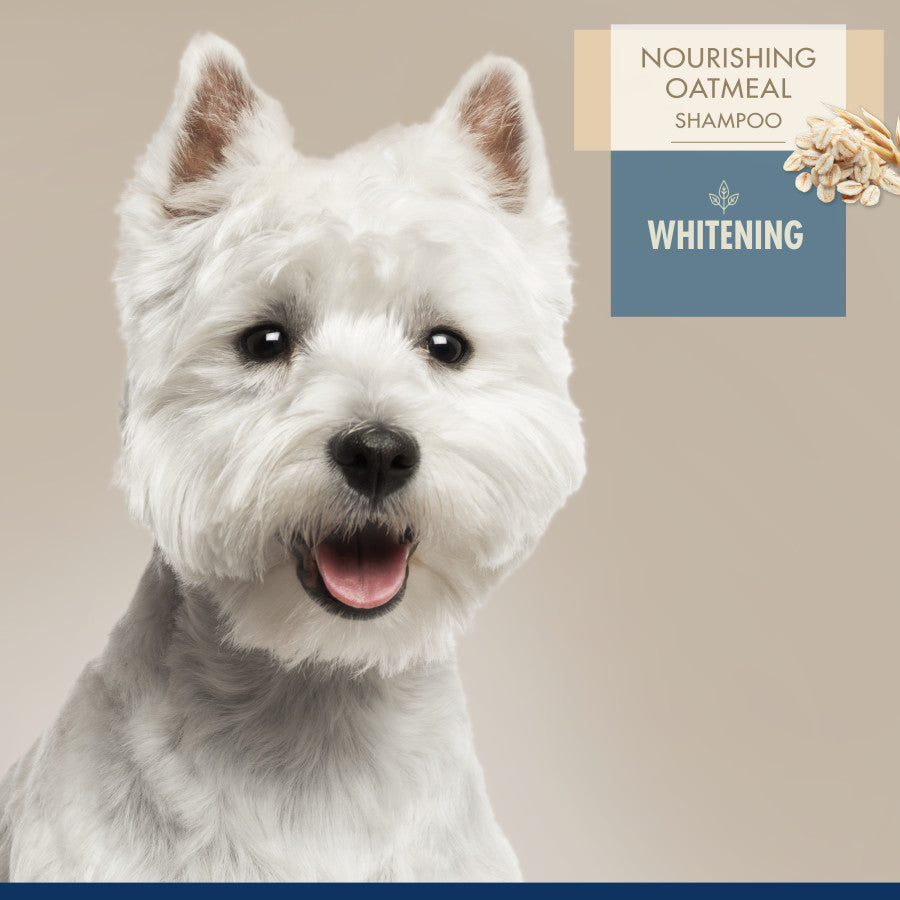 Nourishing Oatmeal Dog Whitening Shampoo