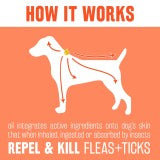Natural Flea & Tick Spot On Treatment for Dogs