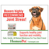 Joint Stress
