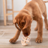 Puppy Pack Fishbone Dog Chew Toy
