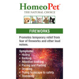 Anxiety Fireworks
