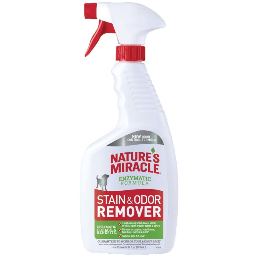 Stain & Odor Remover