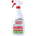 Stain & Odor Remover
