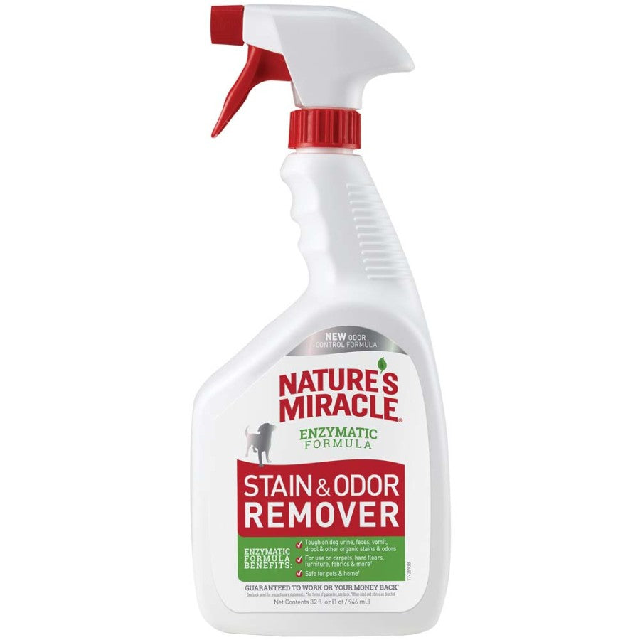 Stain & Odor Remover