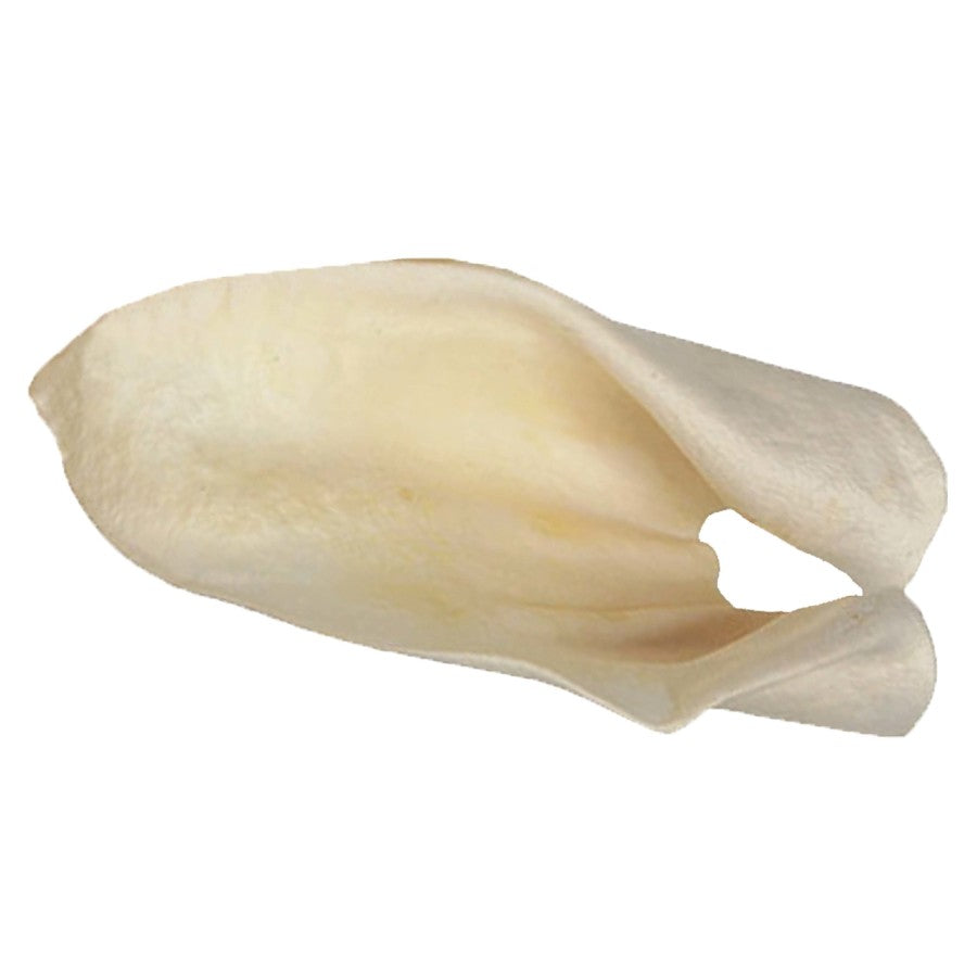 Cow Ears Dog Chew