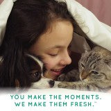 Deodorizing Ear Cleaning Pet Wipes