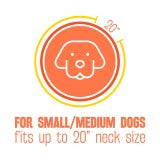 Natural Flea & Tick Repellent Dog Collar