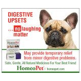 Digestive Upsets