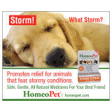 Storm Stress