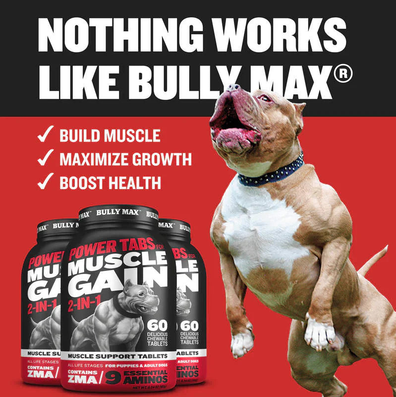 POWER TABS FOR MUSCLE GAIN