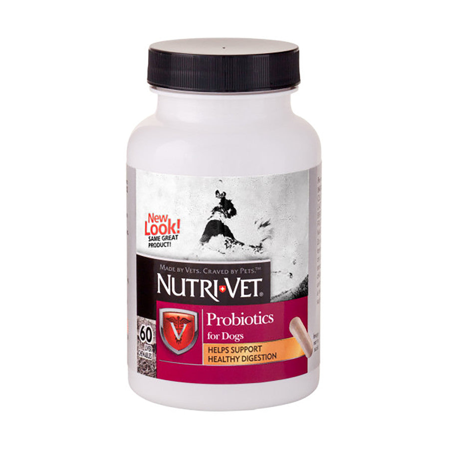 Probiotics for Dogs