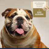Nourishing Oatmeal Hypo-Allergenic Dog Shampoo