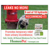 Leaks No More