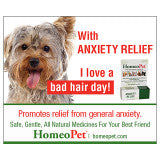 Anxiety Relief