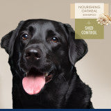 Nourishing Oatmeal De-Shedding Dog Shampoo